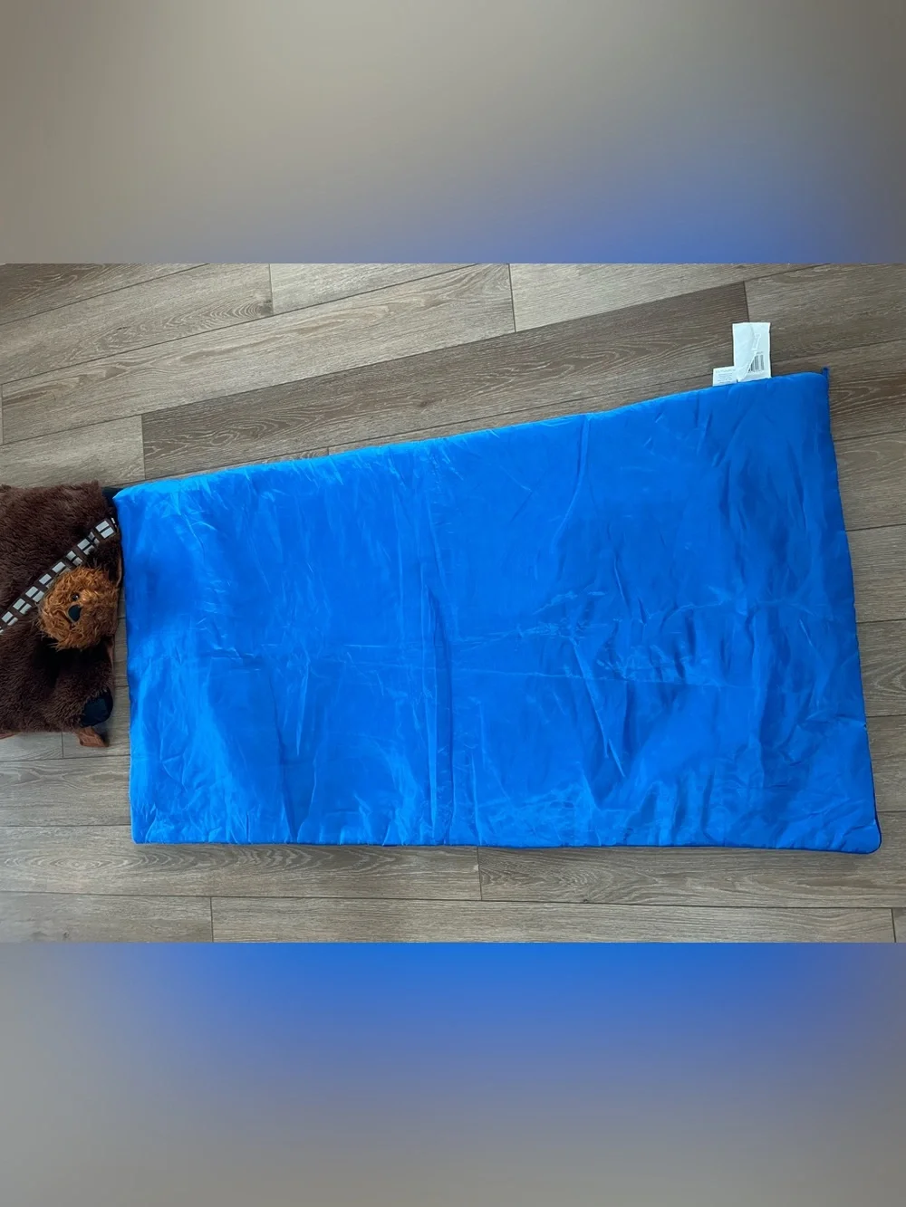 Disney Star Wars Chewbacca kids' sleeping bag set from 2016